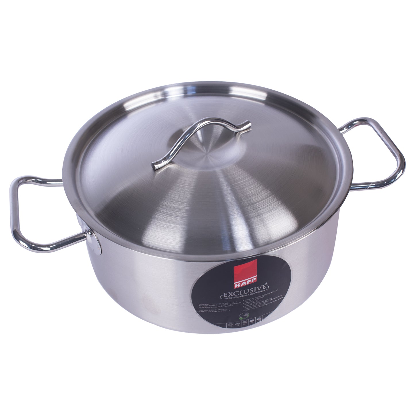 Stainless Steel Stockpot with Lid, 6-Quart, Silver