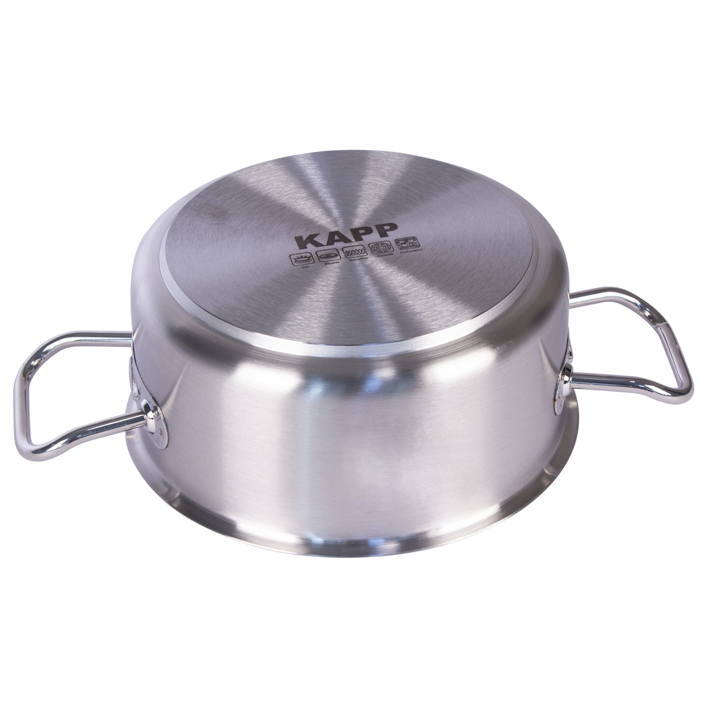 Stainless Steel Stockpot with Lid, 6-Quart, Silver